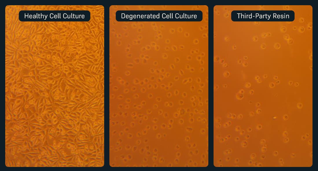 cytotoxicity test results