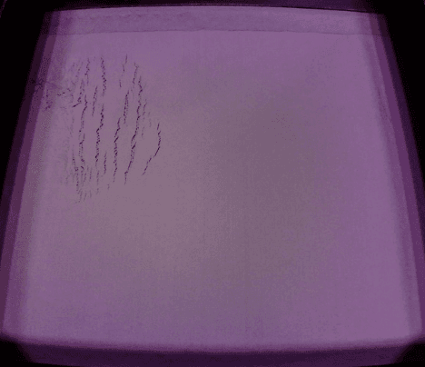 PrinterWatch 打印床撕裂 1