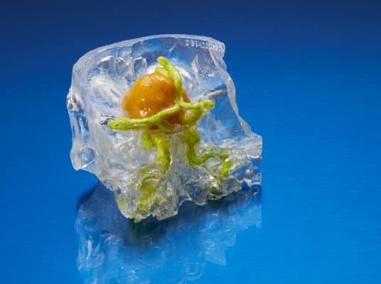 脑部及肿瘤模型