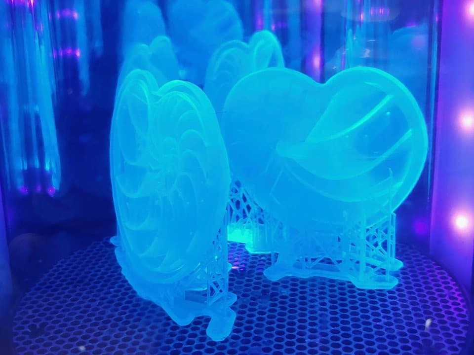 两个鹦鹉螺造型的 3D 打印件