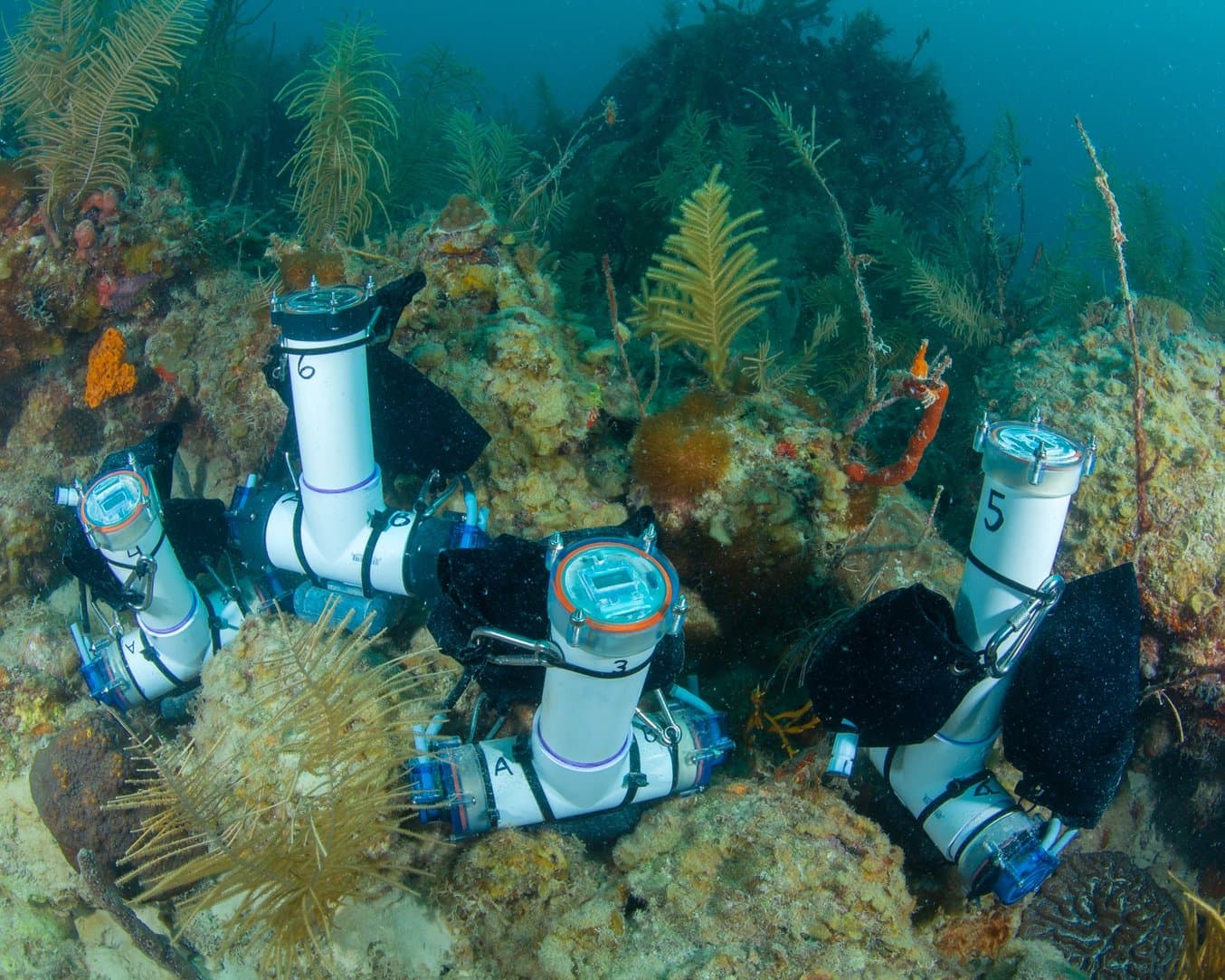 包括 3D 打印防水组件的样品部件