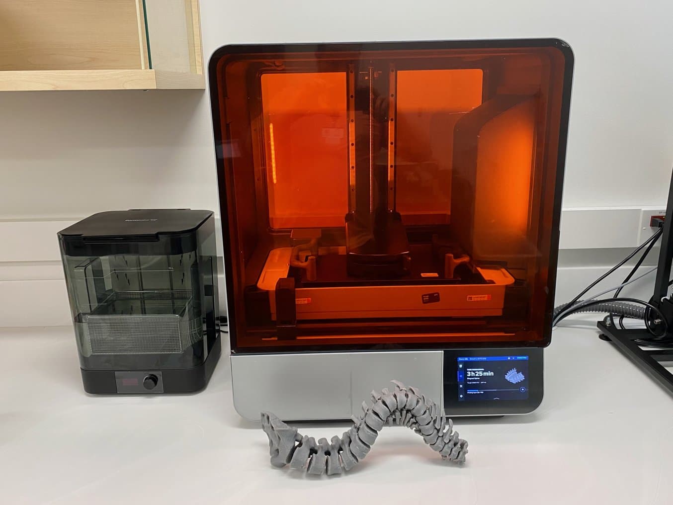 Form 4BL 前的 3D 打印脊柱以及 Form Wash