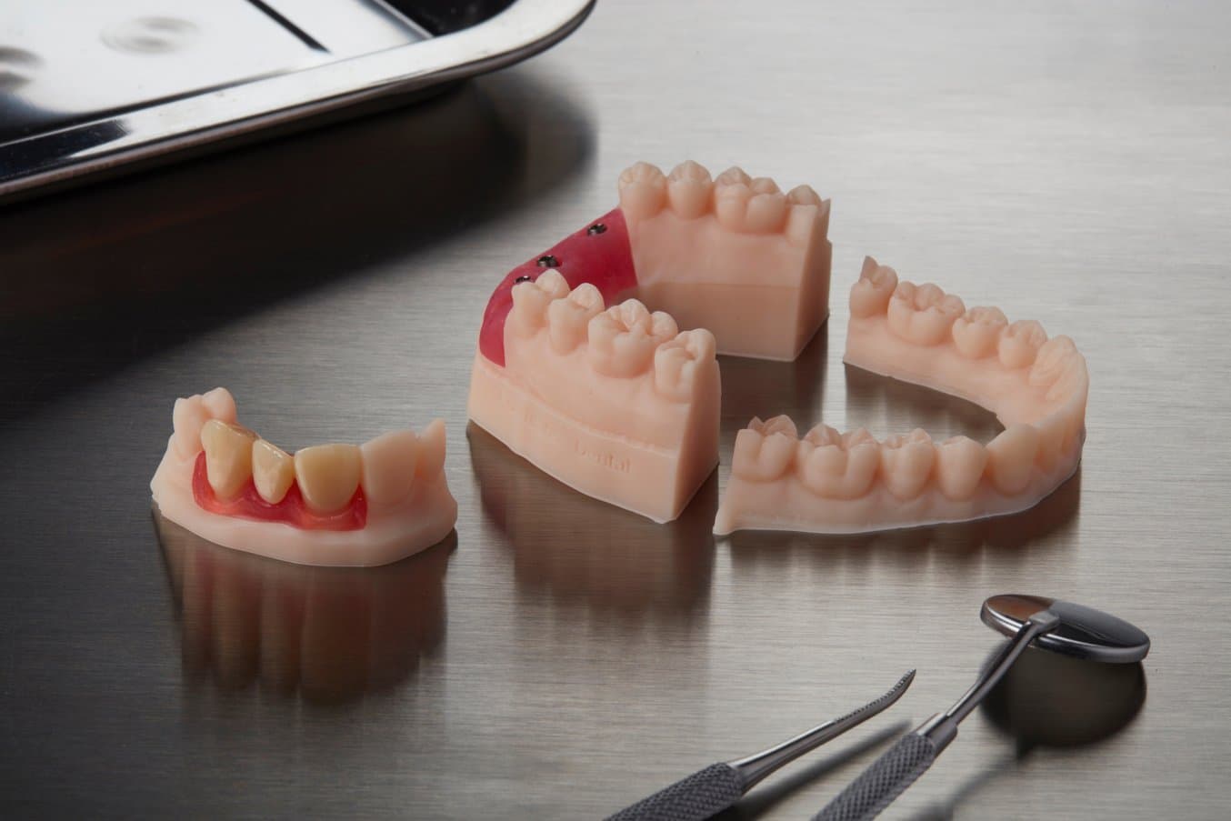 Dental Model