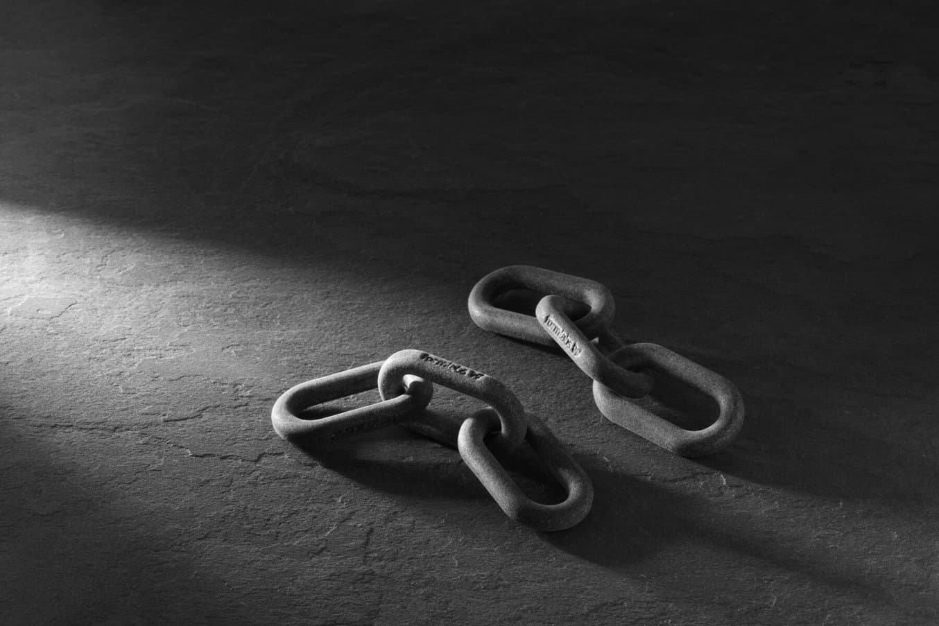 使用 SLS 打印机打印的两个链环